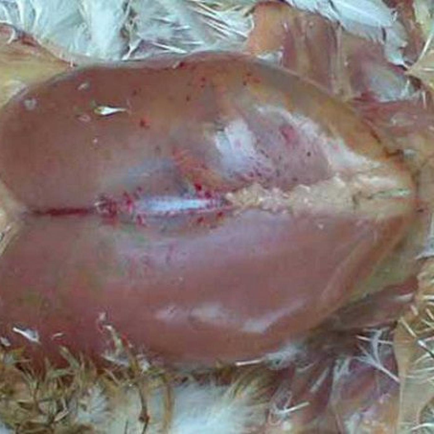 Phòng và điều trị bệnh GumBoro
