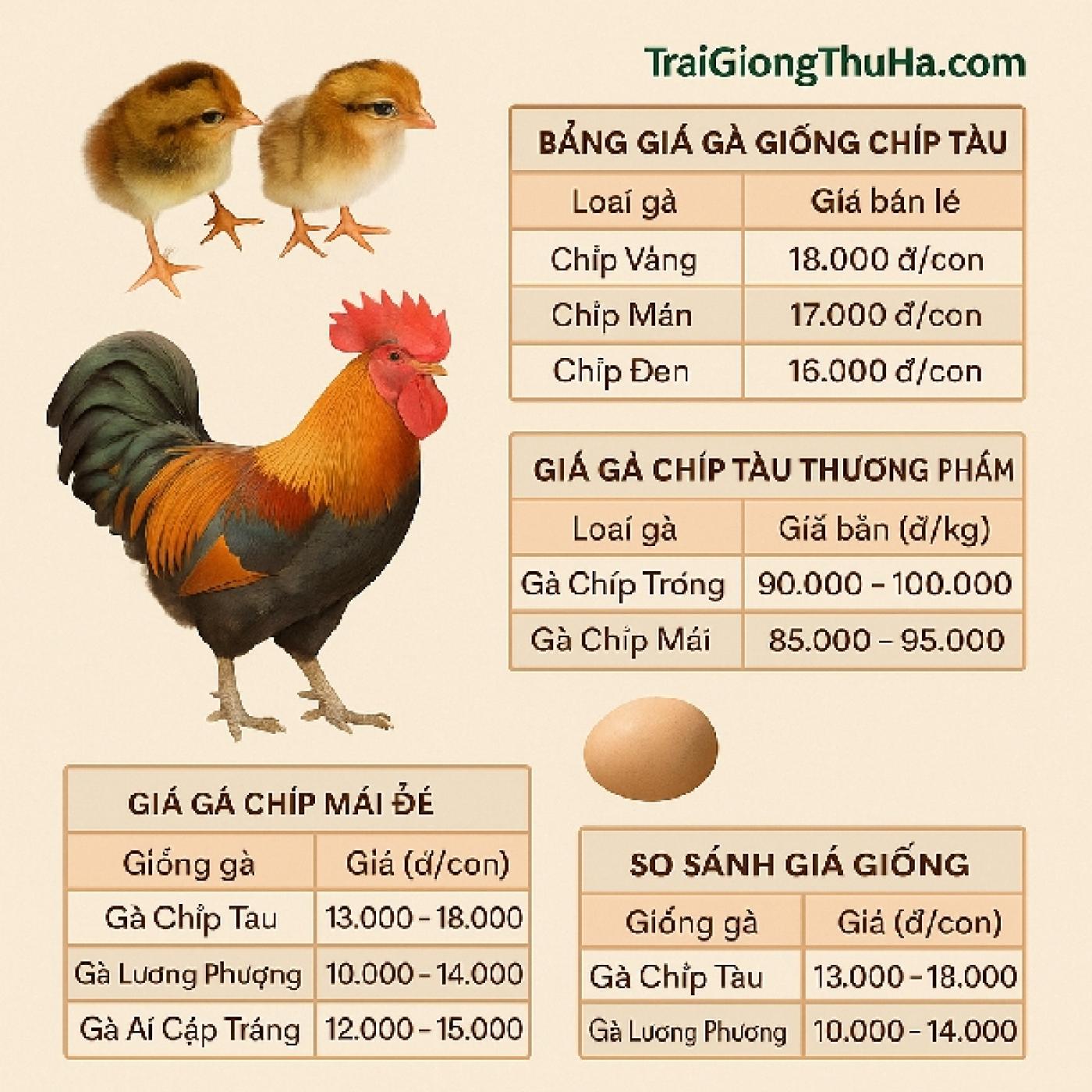 Giá Gà Chíp Tàu Mới Nhất Hôm Nay – Bảng Giá Mới Nhất Gà Giống và Thương Phẩm