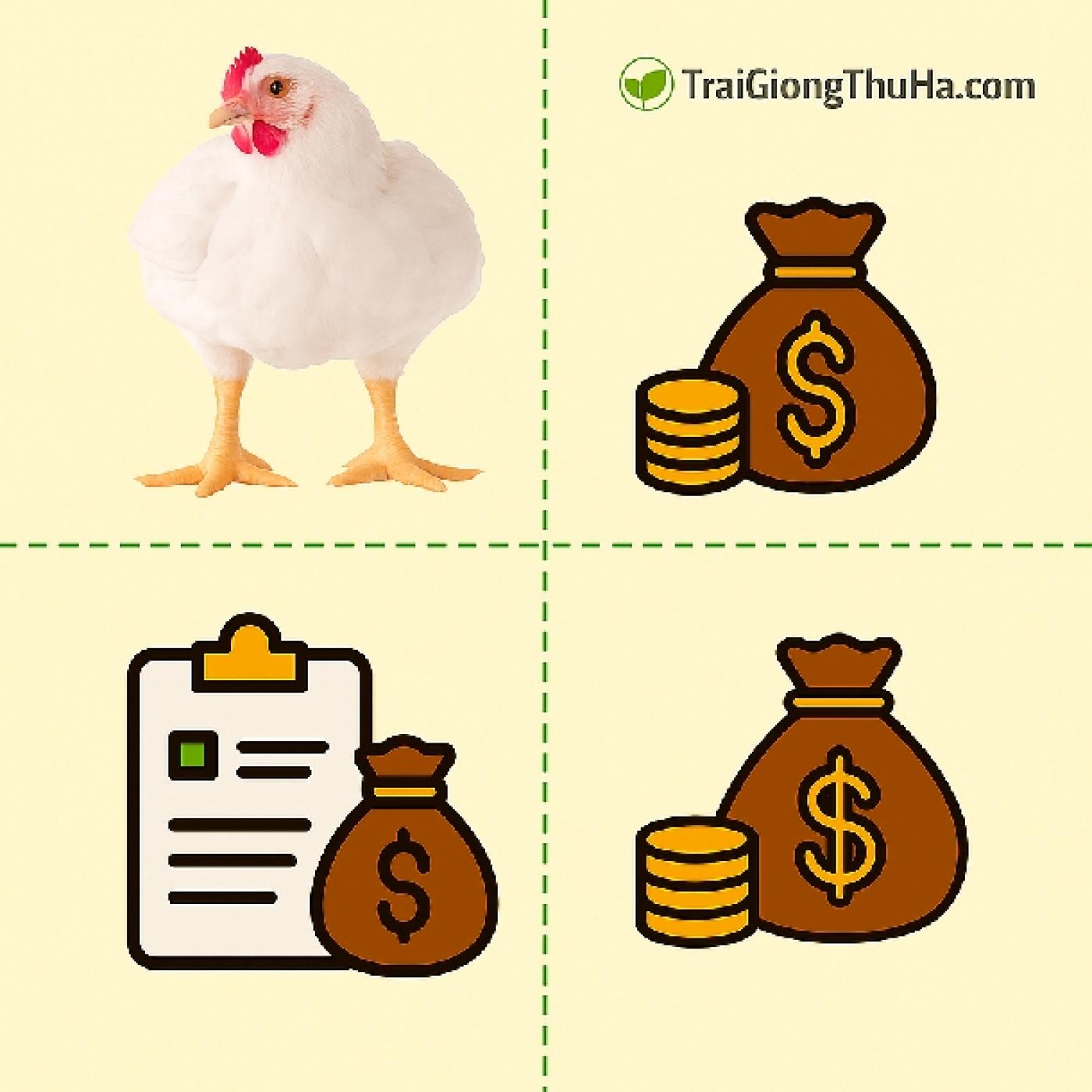 Nuôi Gà Công Nghiệp Có Lãi Không? Cập Nhật Chi Phí & Lợi Nhuận Mới Nhất