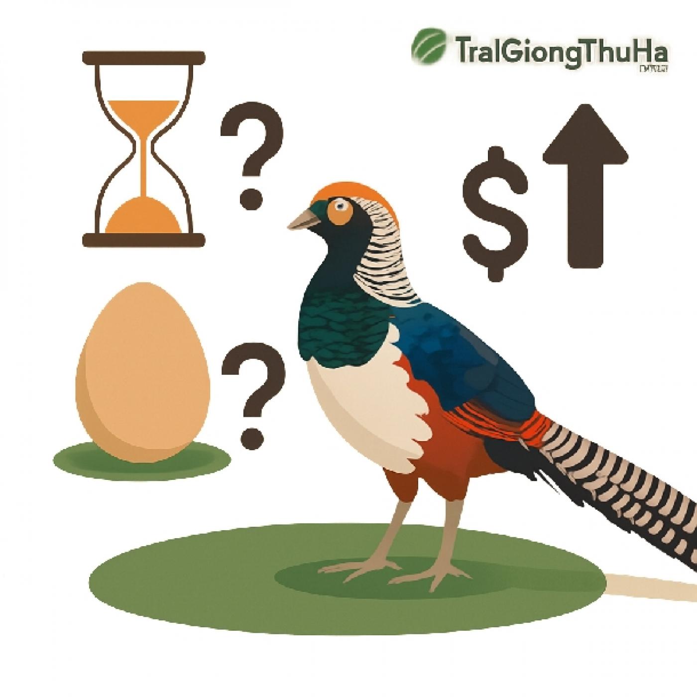 Chim Trĩ 7 Màu Nuôi Bao Lâu Thì Đẻ Trứng? Giá Trị Sinh Sản Có Cao Không?