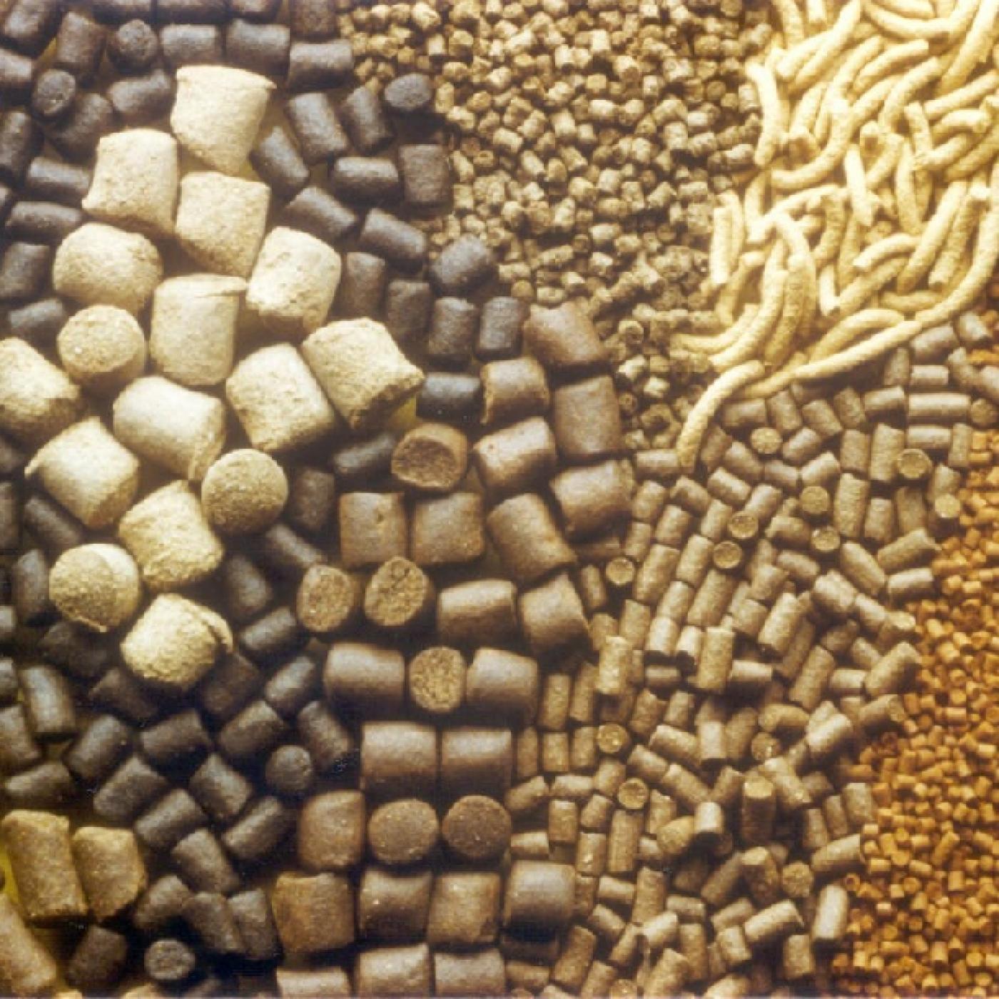 Nhập khẩu thức ăn chăn nuôi 2 tháng đầu năm 2016 giảm 22,16%