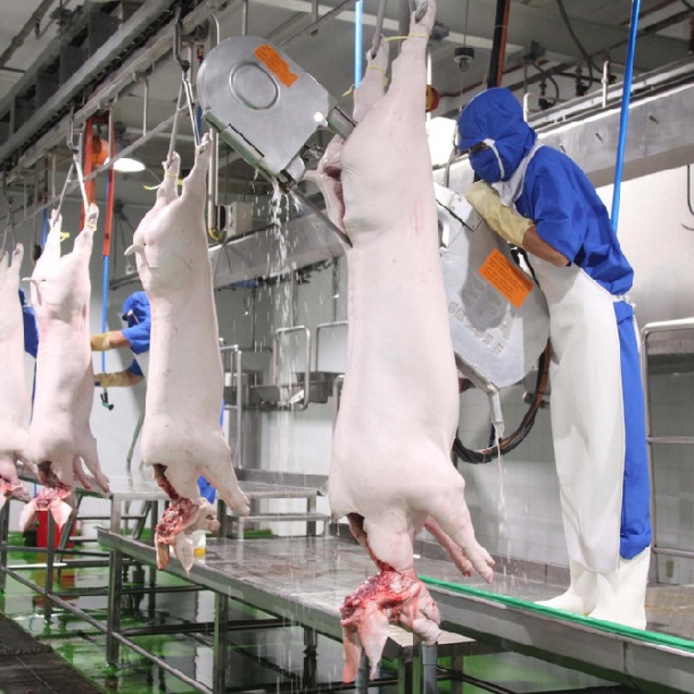 Quy định về kiểm soát giết mổ và kiểm soát thú y