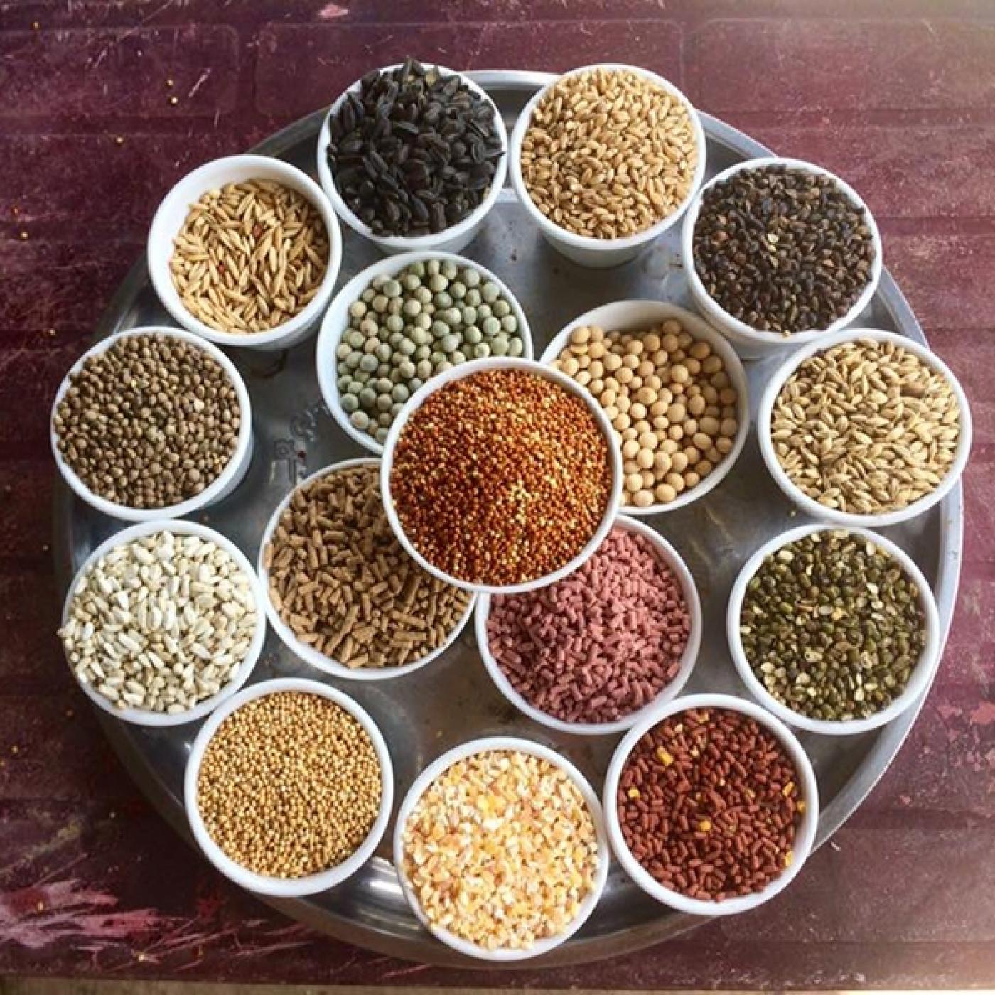 Lựa chọn thức ăn cho gà
