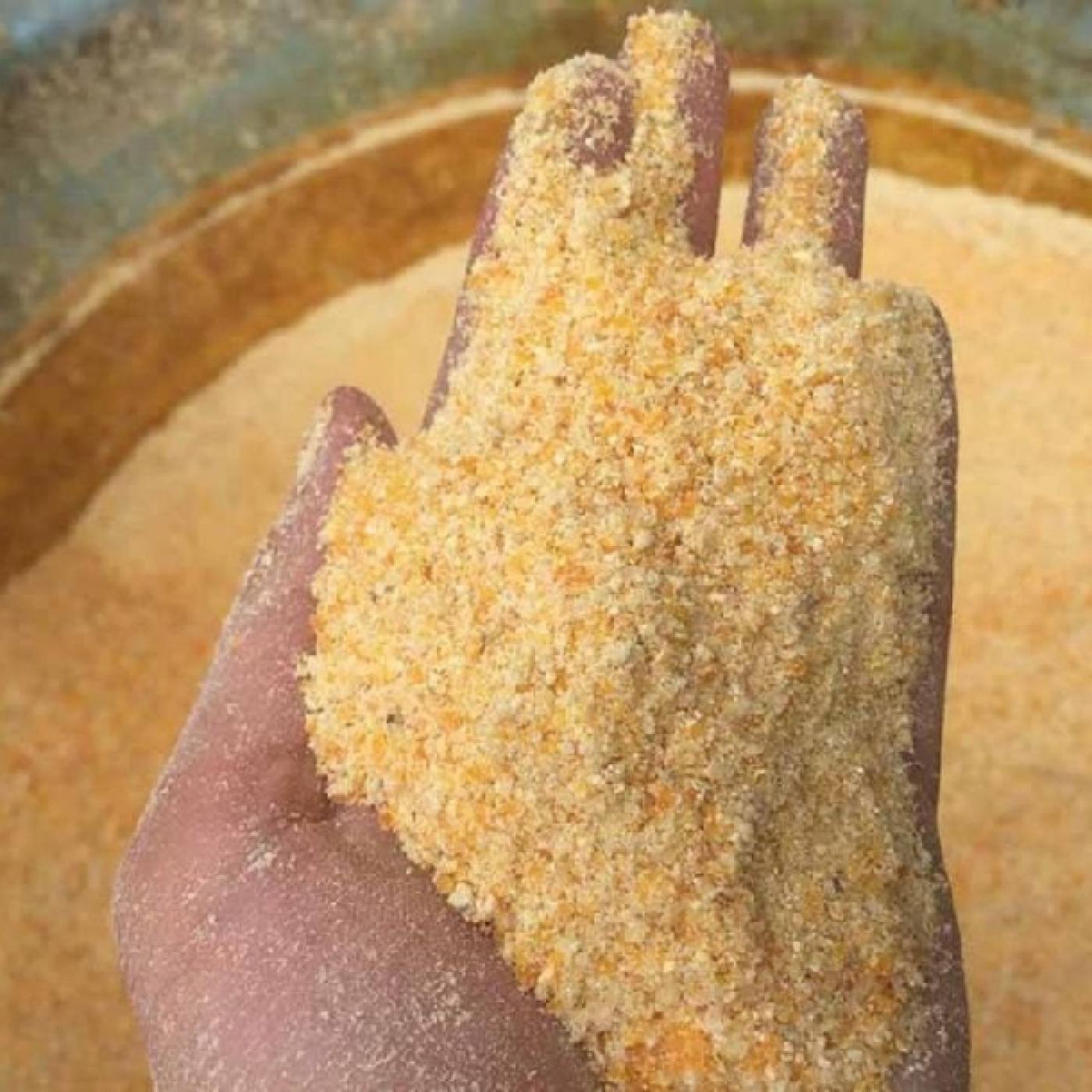 Sử dụng ngô nghiền mịn trong chăn nuôi gà con