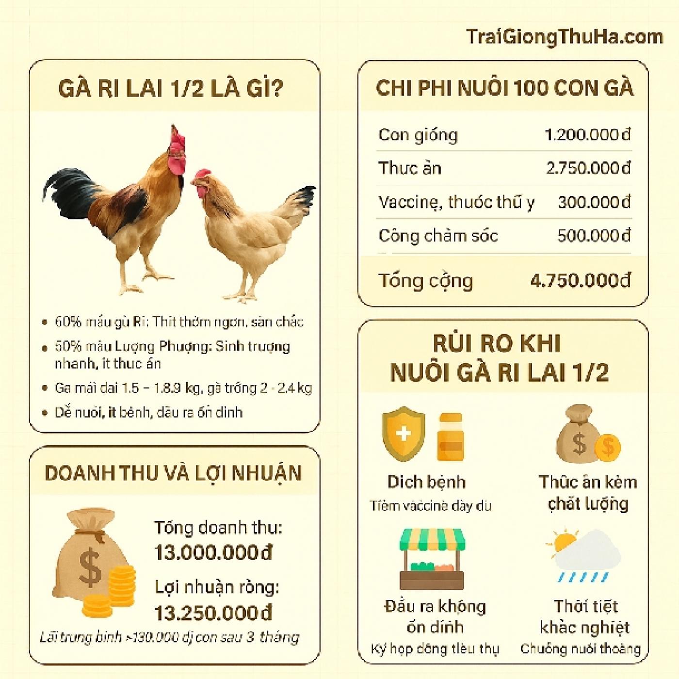 Nuôi Gà Ri Lai 1/2 Có Kinh Tế Không? Chi Phí, Lợi Nhuận Và Rủi Ro Cần Biết