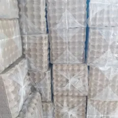 Vỉ giấy đựng trứng
