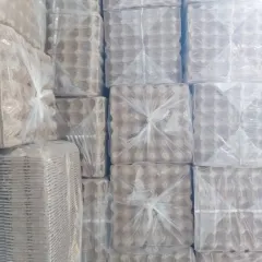 Khay đựng trứng 30 quả