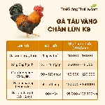 Giá Gà Tàu Vàng Chân Lùn K9 Mới Nhất Hôm Nay - Bảng Giá Mới Nhất Gà Giống và Thương Phẩm