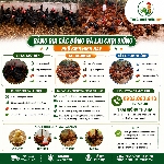 Bảng Giá Các Dòng Gà Lai Chọi Giống Phổ Biến Hiện Nay