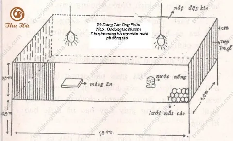 Hướng dẫn làm chuồng nuôi gà đông tảo