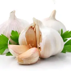 Tác dụng của tỏi trong việc phòng bệnh cho gia cầm