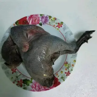 Gà ác và những món ăn có lợi cho sức khỏe