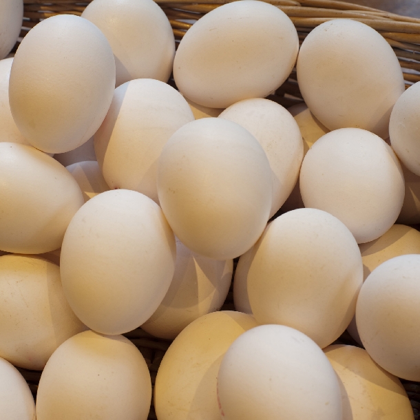 5.000 đồng 10 quả trứng vịt ở Đồng Tháp