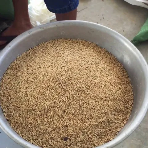 Công thức pha trộn thức ăn cho gà đạt hiệu quả cao.
