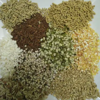 Thức ăn đậm đặc cho gà