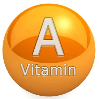 Biểu hiện của gà thiếu vitamin A