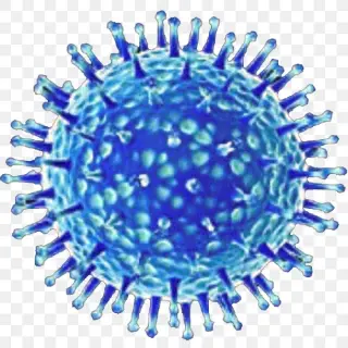 Cấu tạo virus Cúm gia cầm