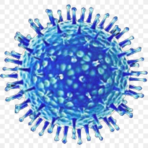 Cấu tạo virus Cúm gia cầm