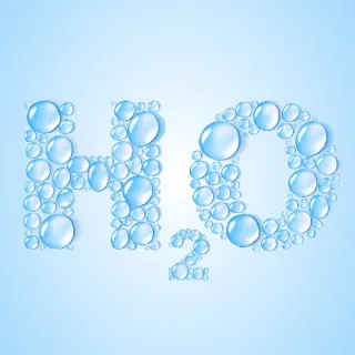 Tầm quan trọng của nước trong chăn nuôi