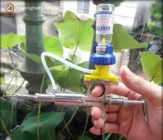 Bơm Kim Tiêm tự động cho gia cầm