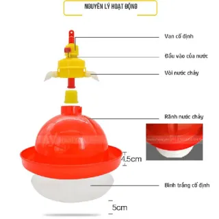 Máng nước tự động dạng chuông cho gà