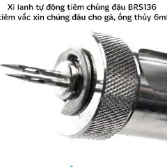 Kỹ thuật chủng đậu cho gà con