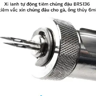 Kỹ thuật chủng đậu cho gà con