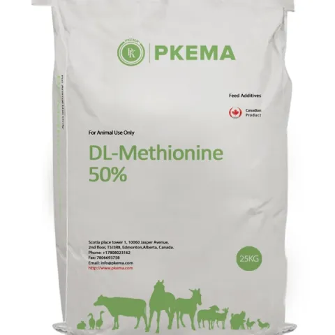 Sử dụng methionine cải thiện năng suất trong chăn nuôi gia cầm