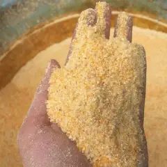 Sử dụng ngô nghiền mịn trong chăn nuôi gà con