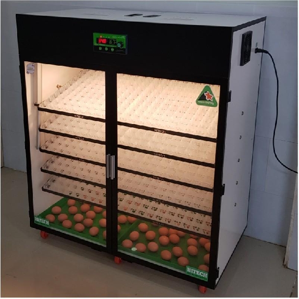 Kinh nghiệm ấp trứng gà sử dụng máy ấp vào mùa đông