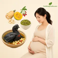 Gà Ác Cho Mẹ Bầu – Ăn Thế Nào Để Bổ Mà Không Nóng?