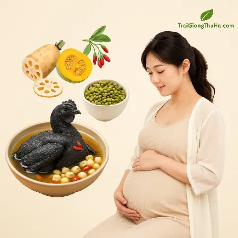 Gà Ác Cho Mẹ Bầu – Ăn Thế Nào Để Bổ Mà Không Nóng?