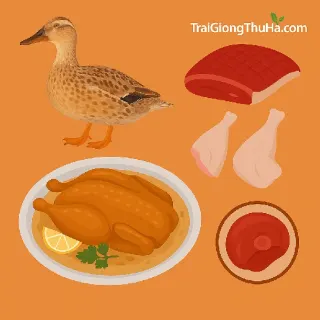 Thịt Vịt Bầu Đất Có Gì Đặc Biệt? Lý Do Được Nhà Hàng Cao Cấp Săn Đón