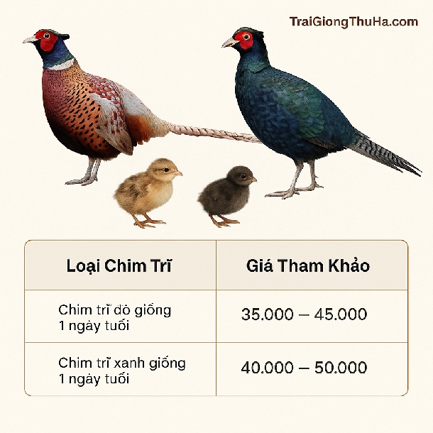 Bảng Giá Chim Trĩ Giống & Trưởng Thành Toàn Quốc – Cập Nhật Liên Tục