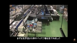 Video kỹ thuật nuôi gà của người Nhật
