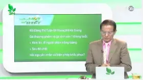 Video gà đi ngoài phân trắng loãng, chết nhiều phải chữa trị như thế nào 