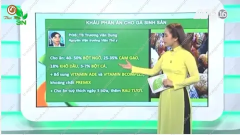 Video khẩu phần ăn cho gà sinh sản 